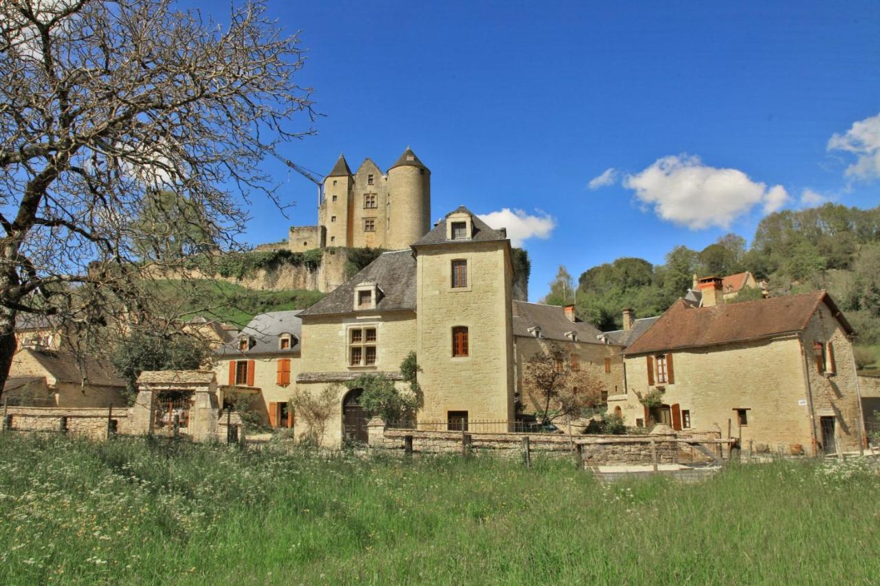 Petite Maison En Pierre Au Coeur Du Perigord Noir Salignac Eyvigues Экстерьер фото