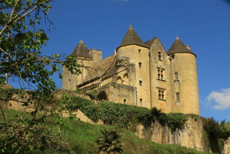 Petite Maison En Pierre Au Coeur Du Perigord Noir Salignac Eyvigues Экстерьер фото