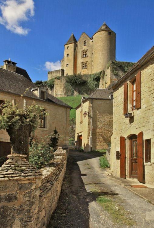 Petite Maison En Pierre Au Coeur Du Perigord Noir Salignac Eyvigues Экстерьер фото